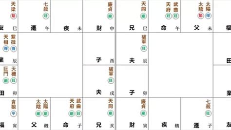 戊年生人|紫微命盤解析——天府、武曲于子午宮守命